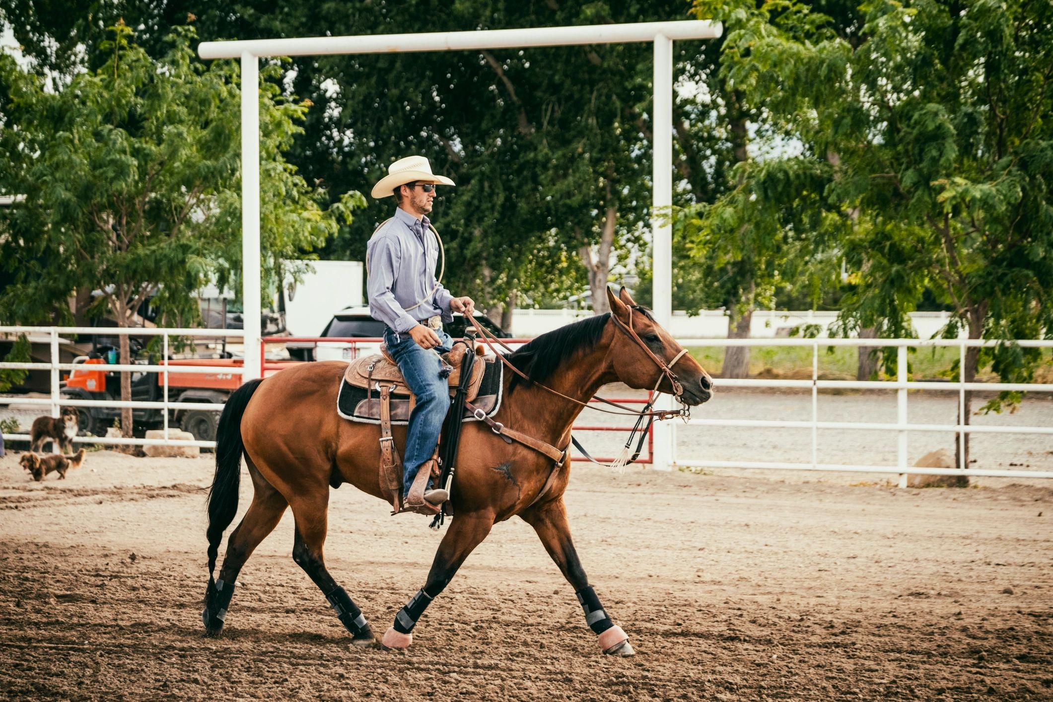 Cowboy practicing roping on horseback