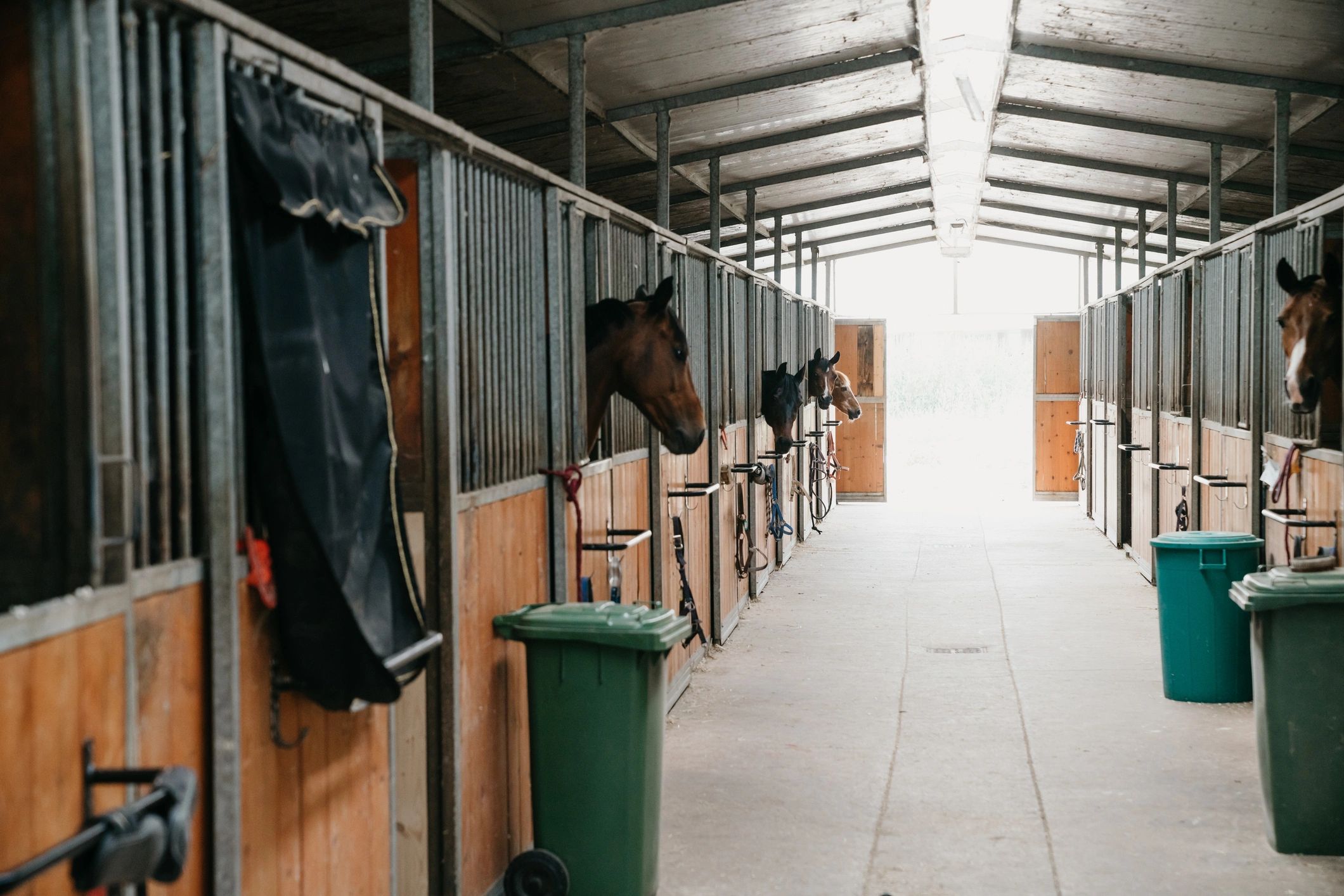 Horse stalls at a riding facility