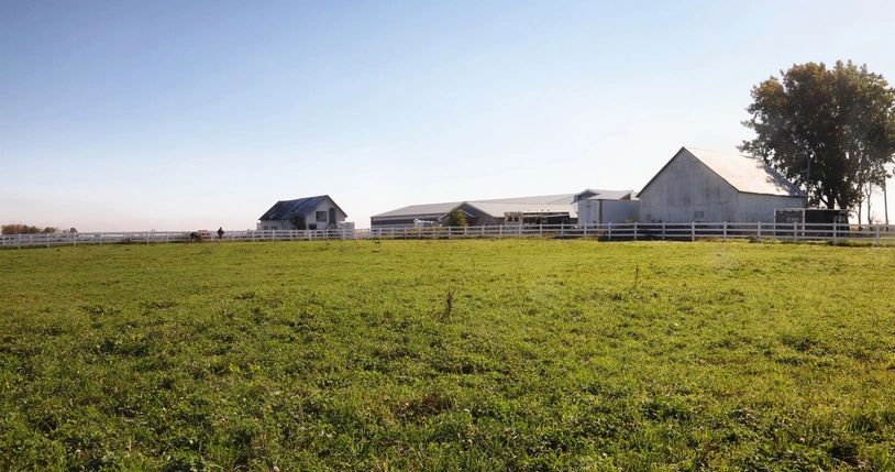 Equestrian stables and open field