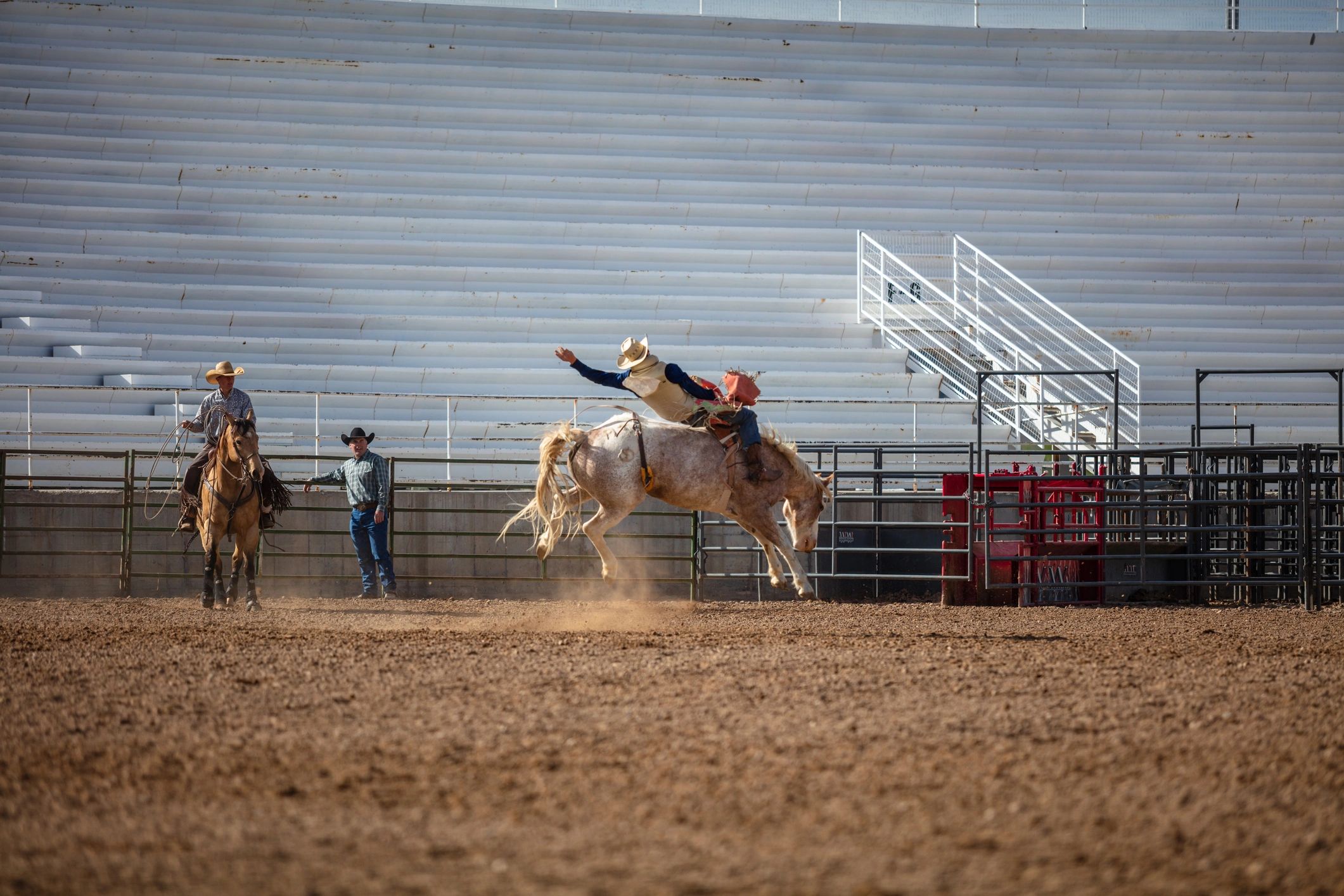 Rodeo rider balancing on a bucking horse