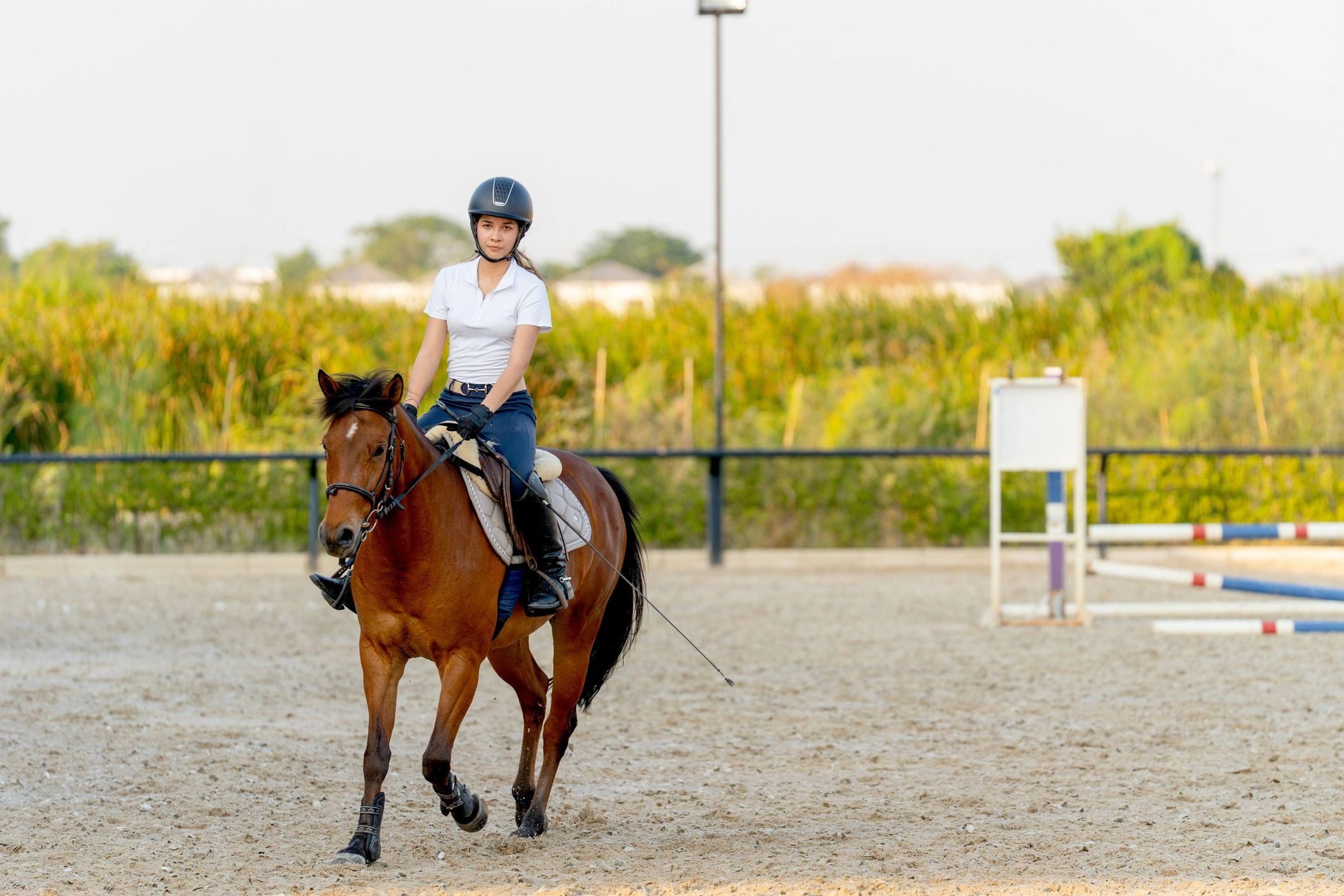 Rider walking a horse in an arena during training