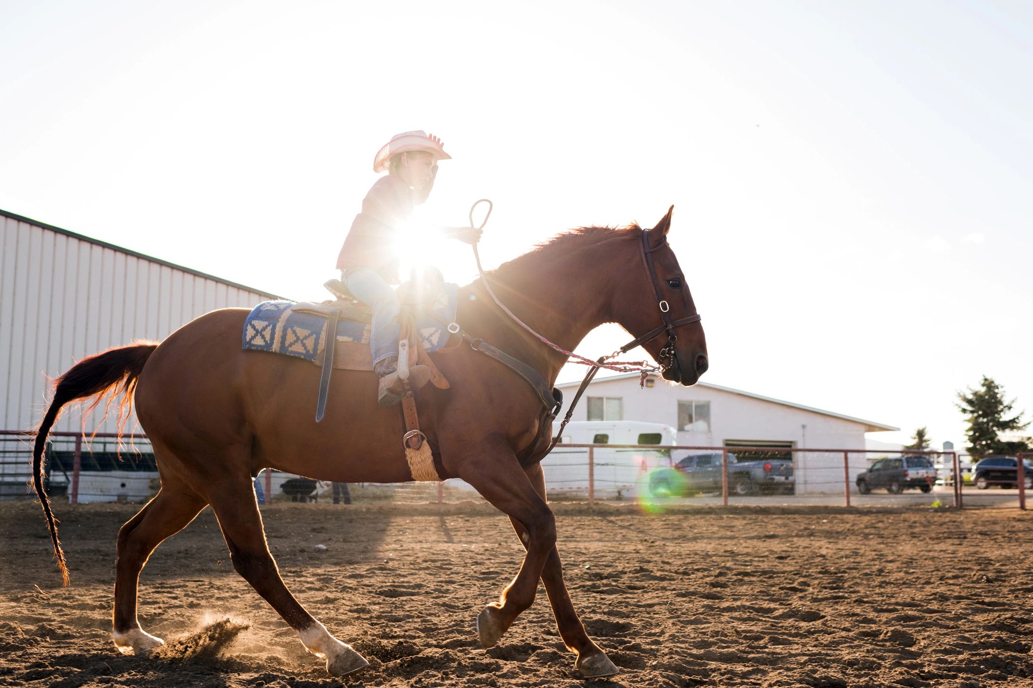 Rider on a horse in a paddock at golden hour